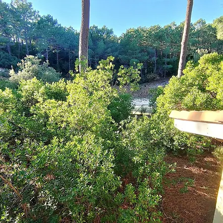 别墅 En Lisiere De Foret Avec Jardin, A 1,5 Km De L'ocean, Ideale Pour Des Reposantes - Fr-1-736-16