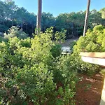 Villa En Lisière De Forêt Avec Jardin, à 1,5 Km De L'océan, Idéale Pour Des Reposantes - Fr-1-736-16