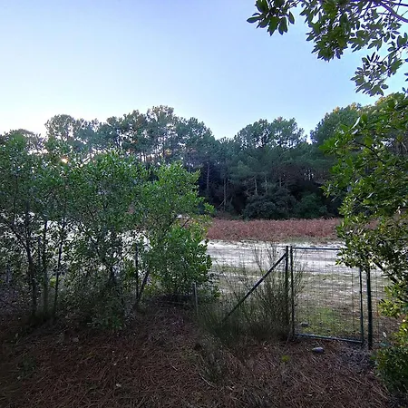En Lisiere De Foret Avec Jardin, A 1,5 Km De L'ocean, Ideale Pour Des Reposantes - Fr-1-736-16 Villa *