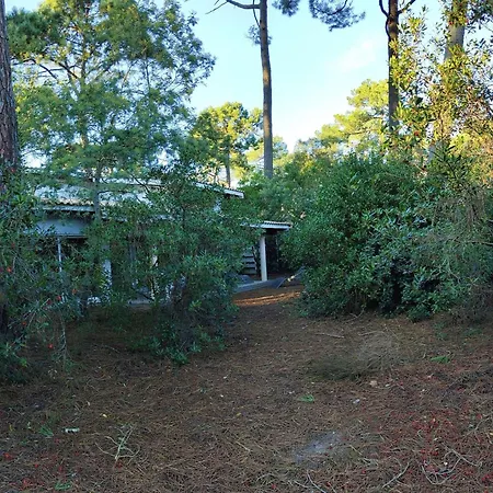 En Lisiere De Foret Avec Jardin, A 1,5 Km De L'ocean, Ideale Pour Des Reposantes - Fr-1-736-16 *
