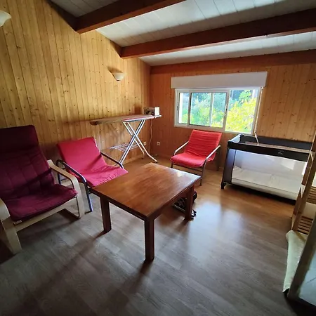 En Lisiere De Foret Avec Jardin, A 1,5 Km De L'ocean, Ideale Pour Des Reposantes - Fr-1-736-16 Lege-Cap-Ferret