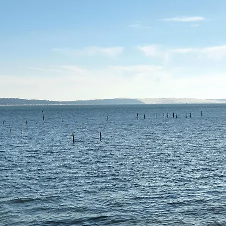 En Lisiere De Foret Avec Jardin, A 1,5 Km De L'ocean, Ideale Pour Des Reposantes - Fr-1-736-16 *