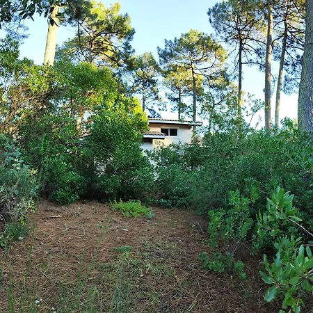En Lisiere De Foret Avec Jardin, A 1,5 Km De L'ocean, Ideale Pour Des Reposantes - Fr-1-736-16 Lege-Cap-Ferret