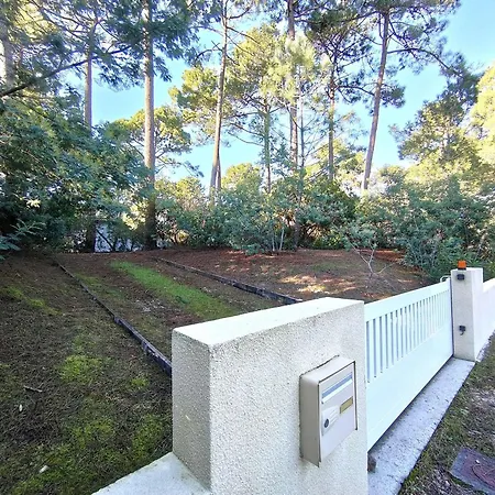 En Lisiere De Foret Avec Jardin, A 1,5 Km De L'ocean, Ideale Pour Des Reposantes - Fr-1-736-16 Villa Lege-Cap-Ferret